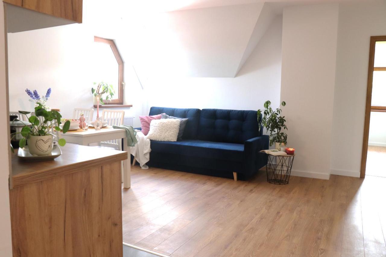 זקופאנה Apartamenty Pardalowka 50 מראה חיצוני תמונה