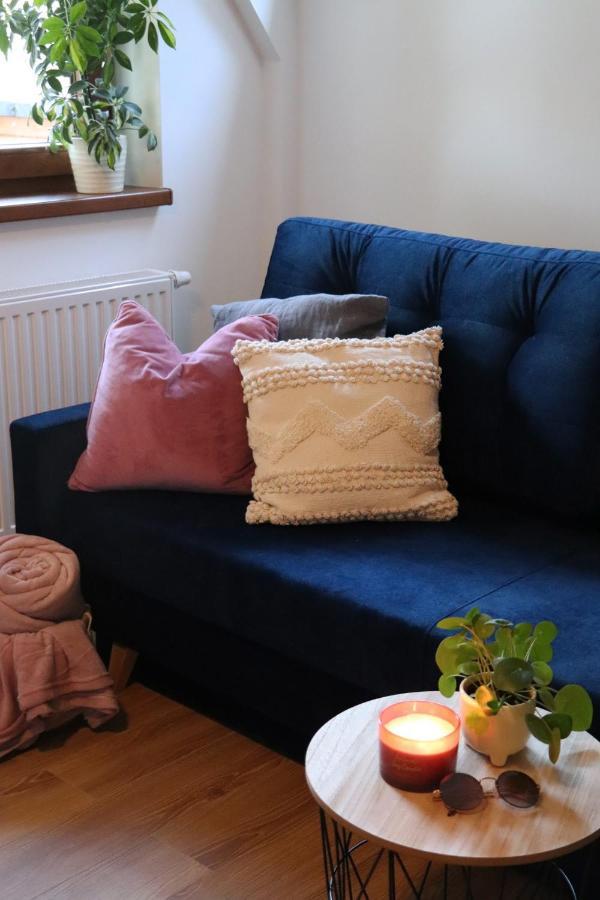 זקופאנה Apartamenty Pardalowka 50 מראה חיצוני תמונה